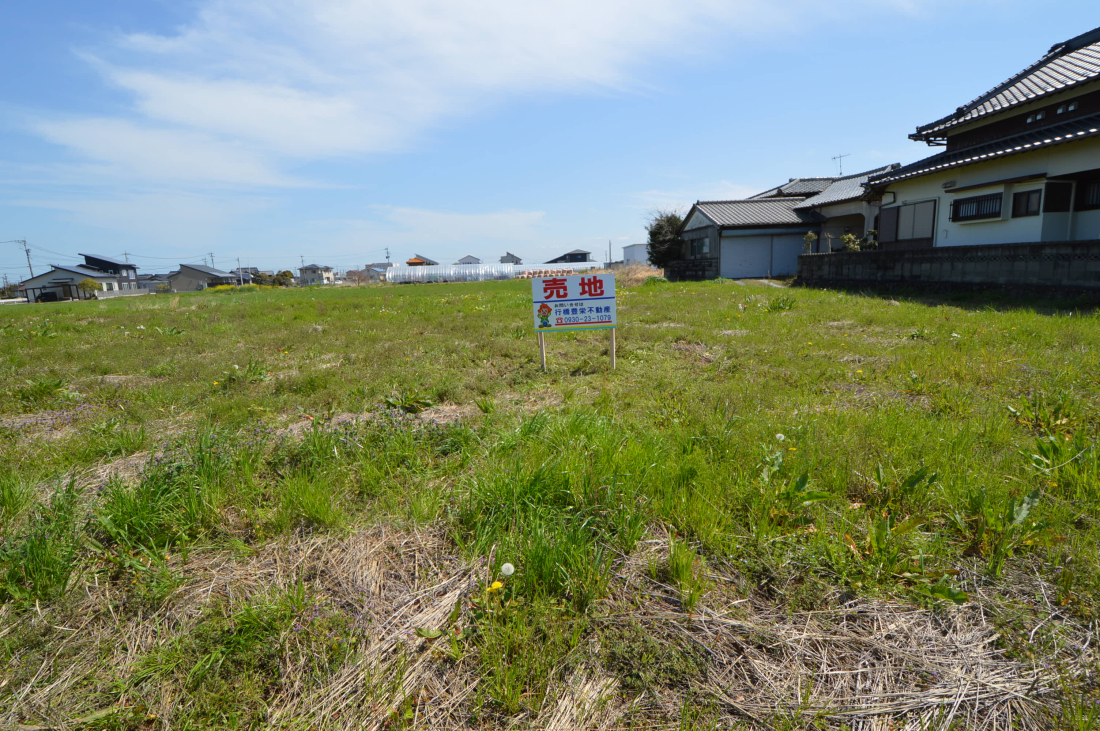 ���n�y�n�ʐ^ -