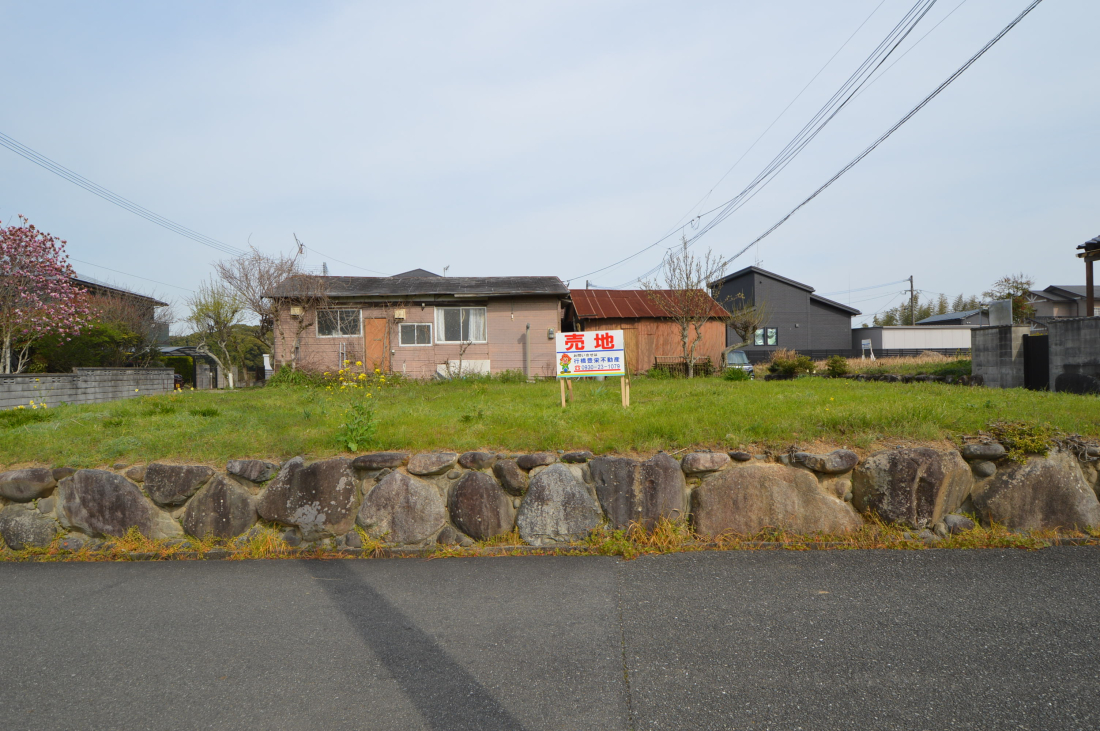 ���n�y�n�ʐ^ -