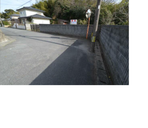 ���n�y�n�ʐ^ -