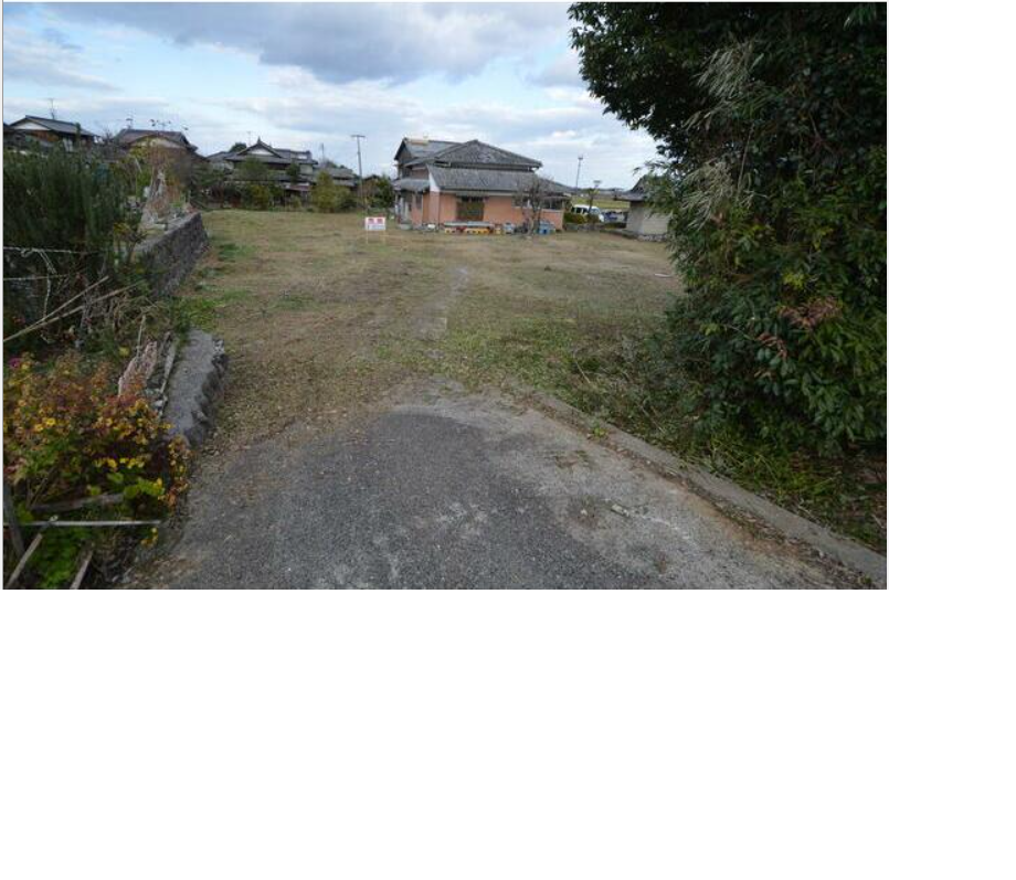 ���n�y�n�ʐ^ -