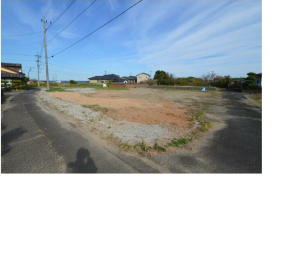 ���n�y�n�ʐ^ -