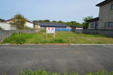 ���n�y�n�ʐ^ -